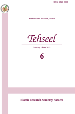 					View No. 06 (2020): Tehseel
				